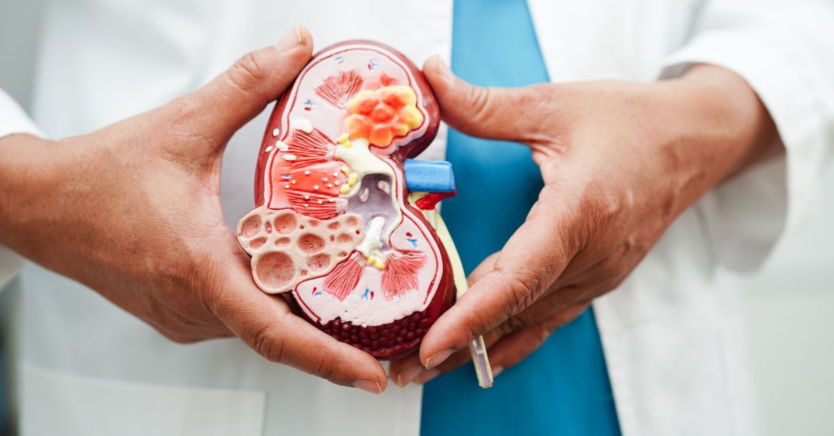 kidney treatment
